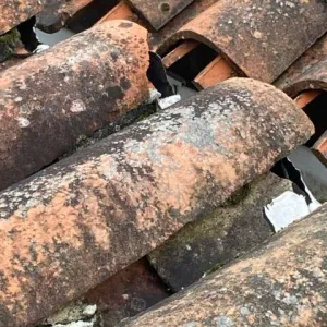 Charpente et boiserie