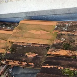 Nettoyage et traitement de toiture